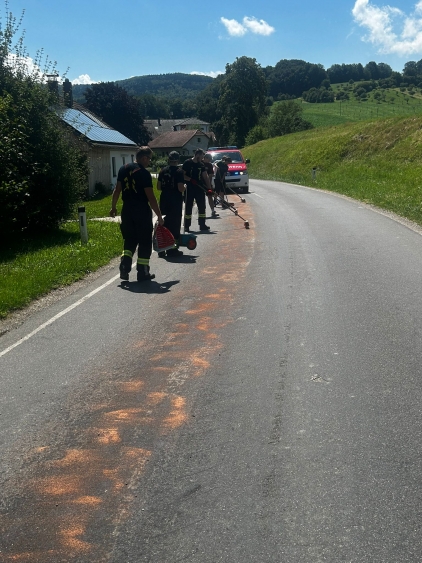 Ölspur in Freyen
