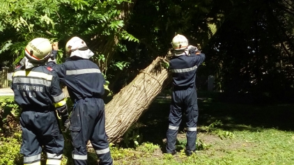 Einsatz im Schloßpark