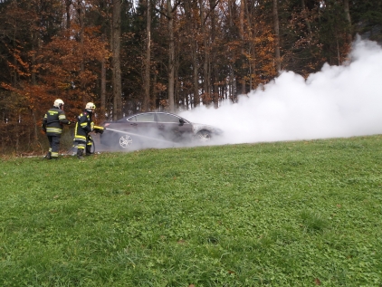 Fahrzeugbrand Grünsbach